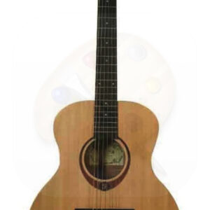 Acoustic Guitar